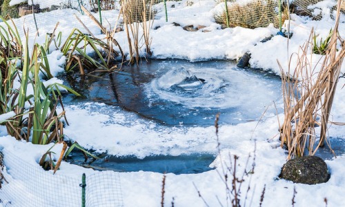 Winter tuin Winter tuin