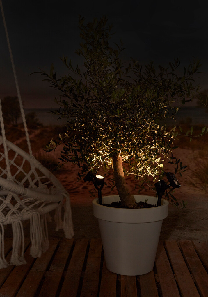 Solar richtspot Zamora  Solar richtspot Zamora