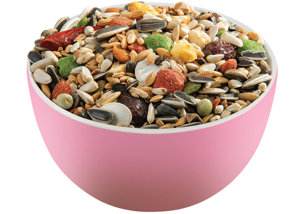 Papegaaien - zonder noten 2kg Papegaaien - zonder noten 2kg