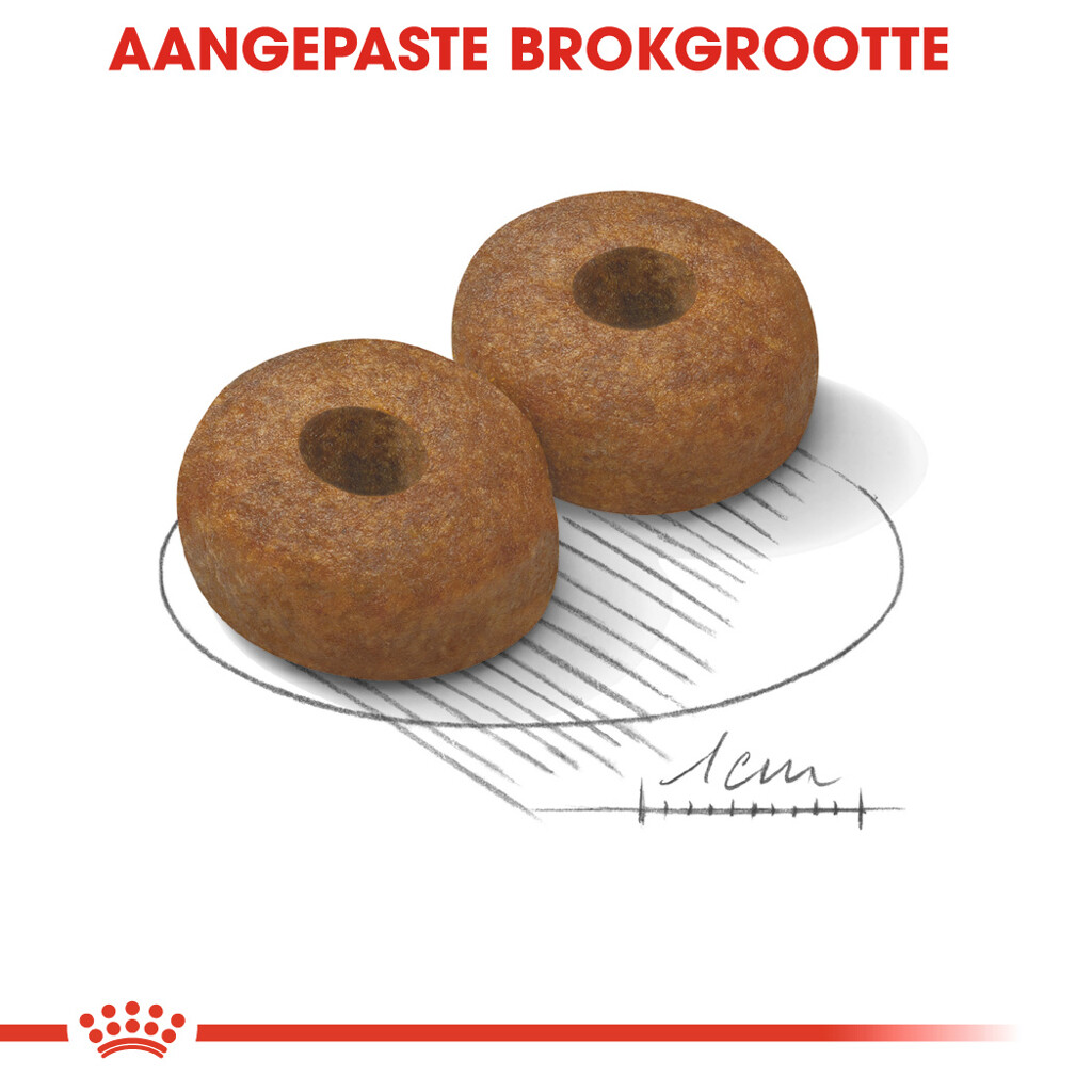 SHN Maxi Ageing 8+ 15kg