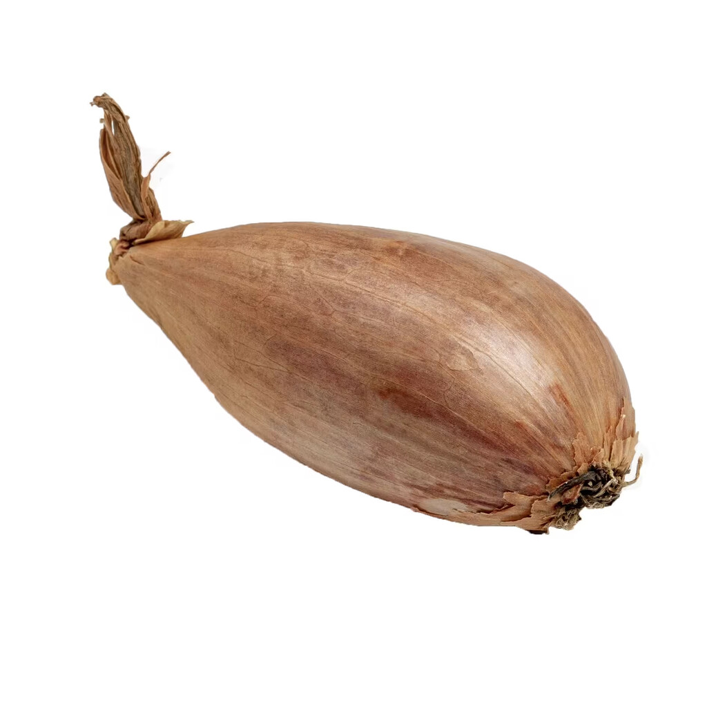 Échalote Longor 250g