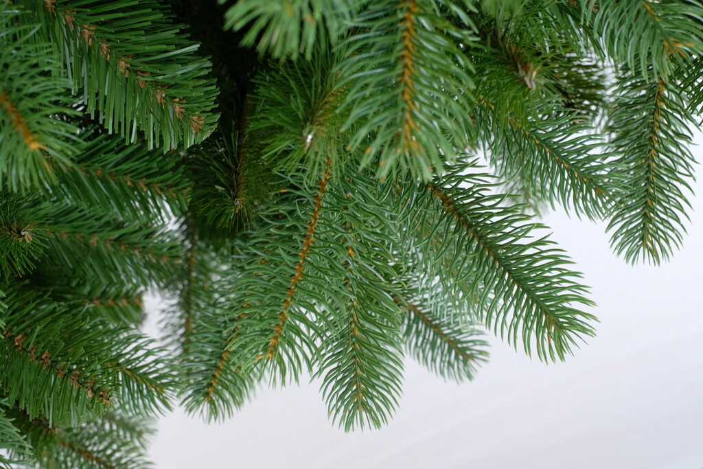 Douglas Green Slim Hinged H:180cm