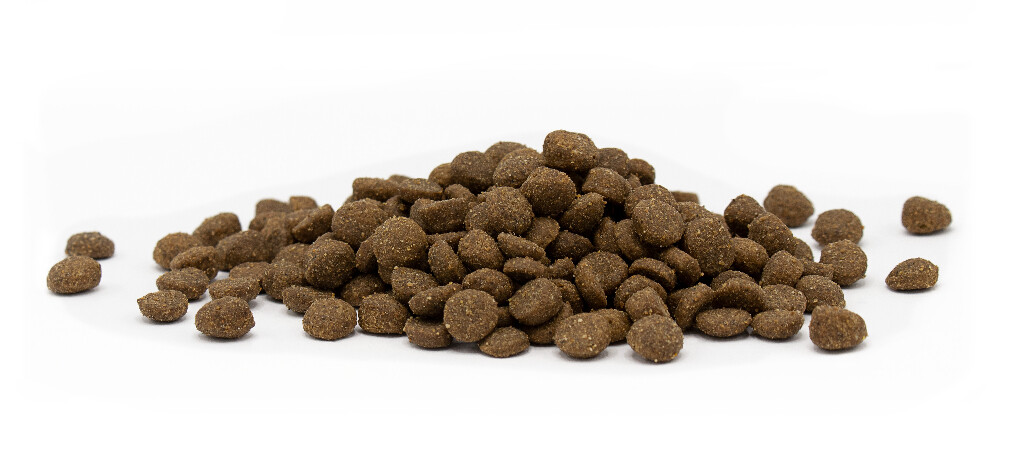 Cat Adult 1kg