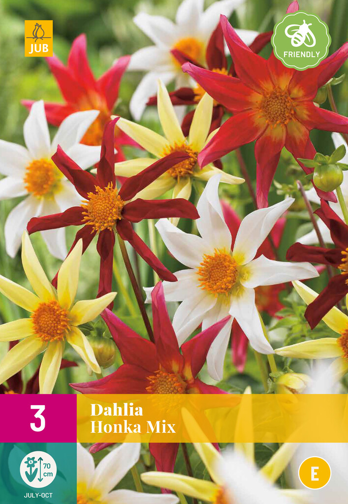 X3 Dahlia Honka Mix