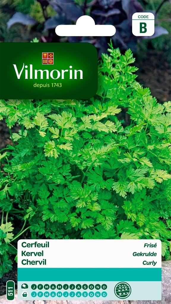 Cerfeuil frisé Cerfeuil frisé