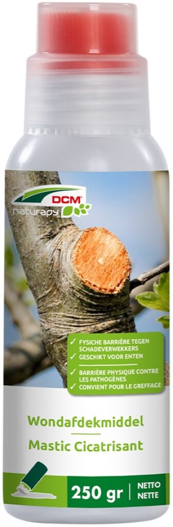 Mastic cicatrisant 250g