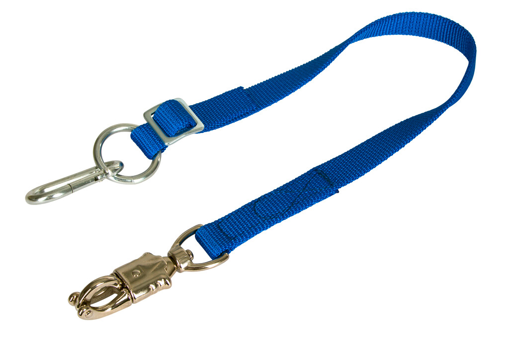 Longe d'attache réglable bleu