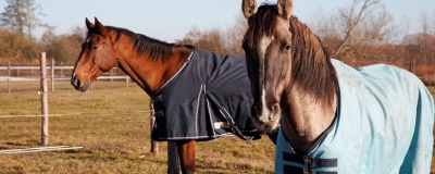 Couverture pour chevaux Couverture pour chevaux