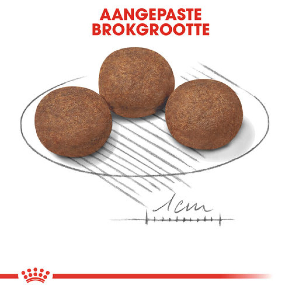 SHN Puppy Medium 4kg