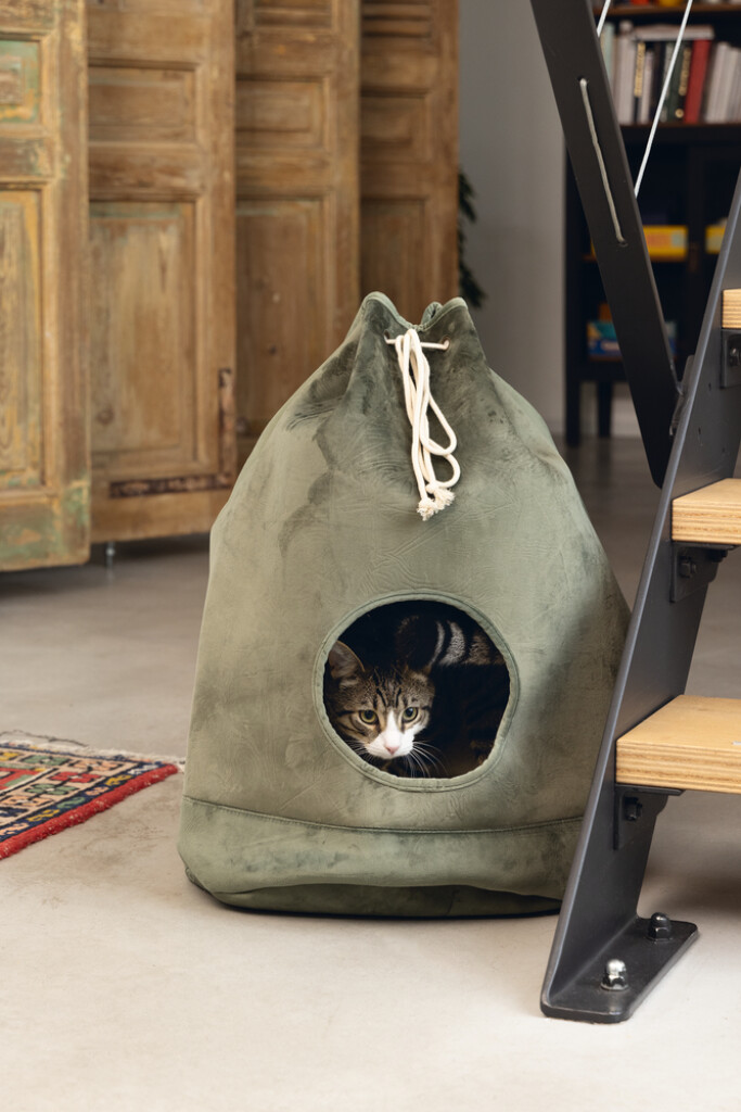 Kattenhuis Vilar groen