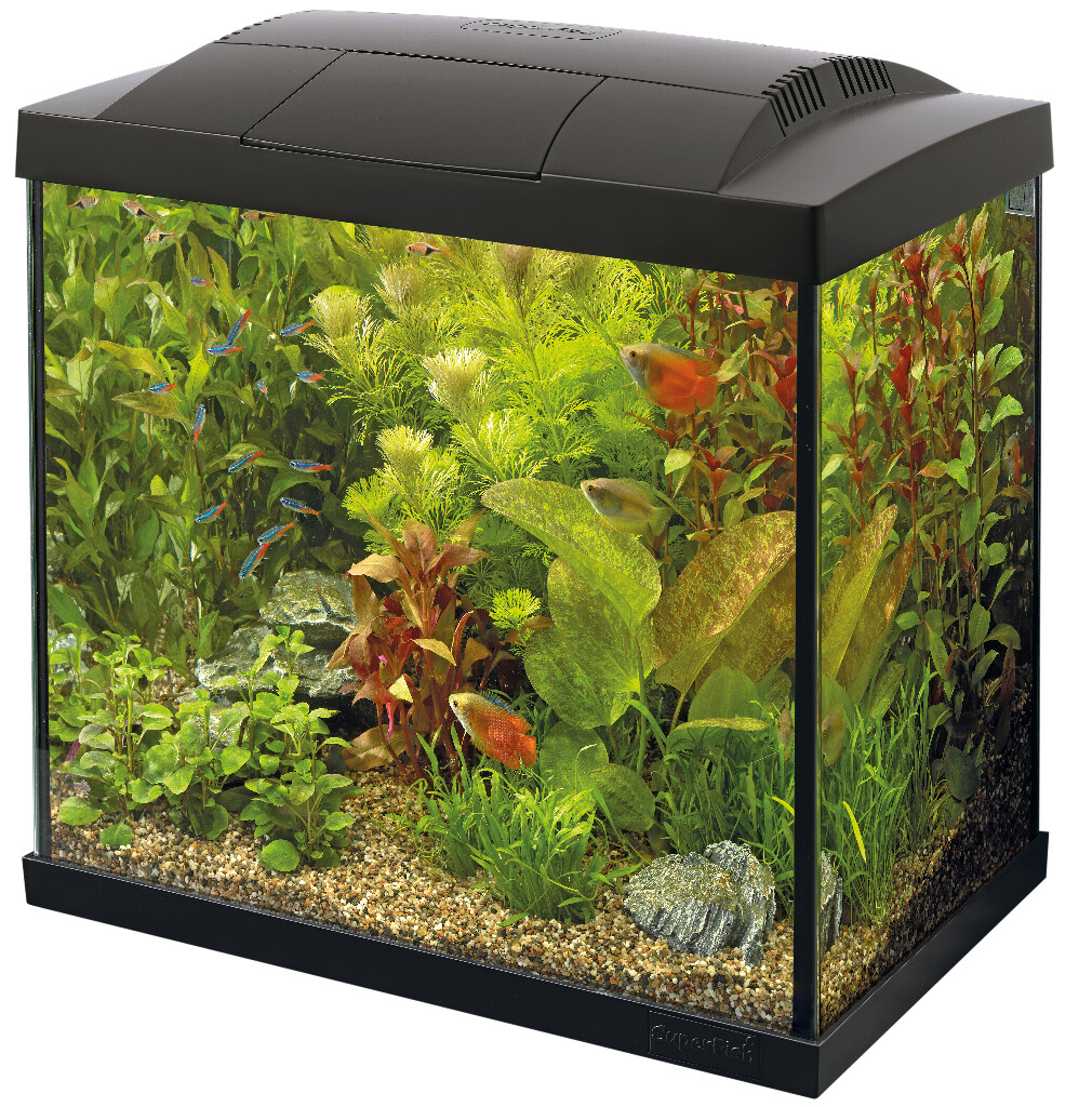 Kit Start Aquarium 50 tropical, noir