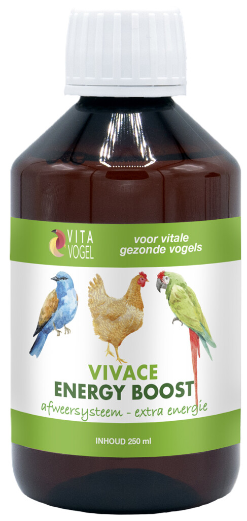 Energy Boost 250ml