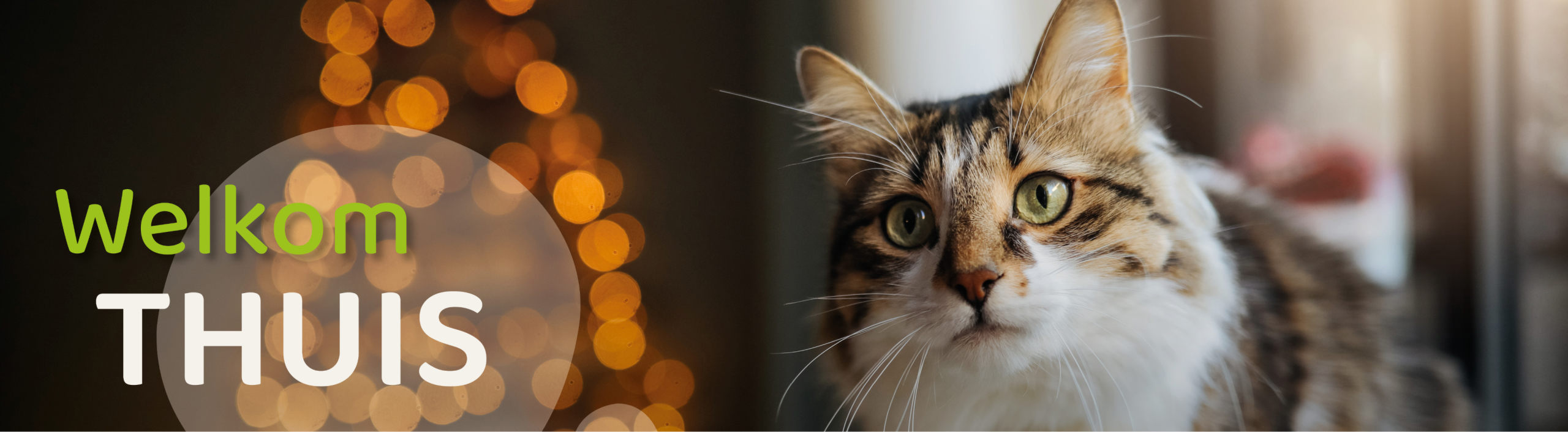 Welkom thuis