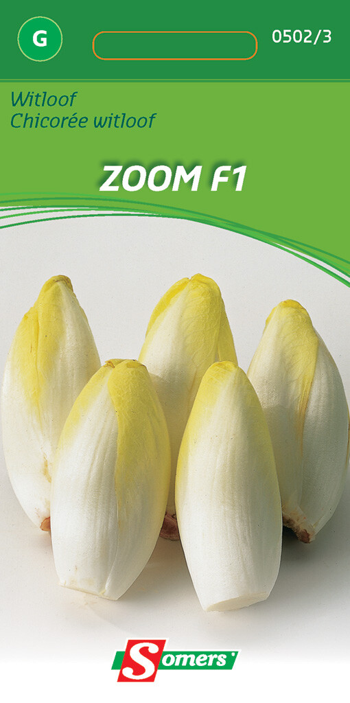 Witloof Zoom F1