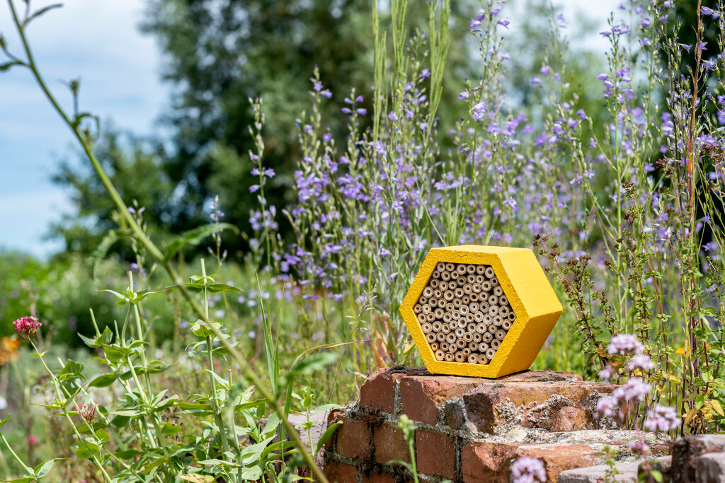 Hotel à insectes Matias