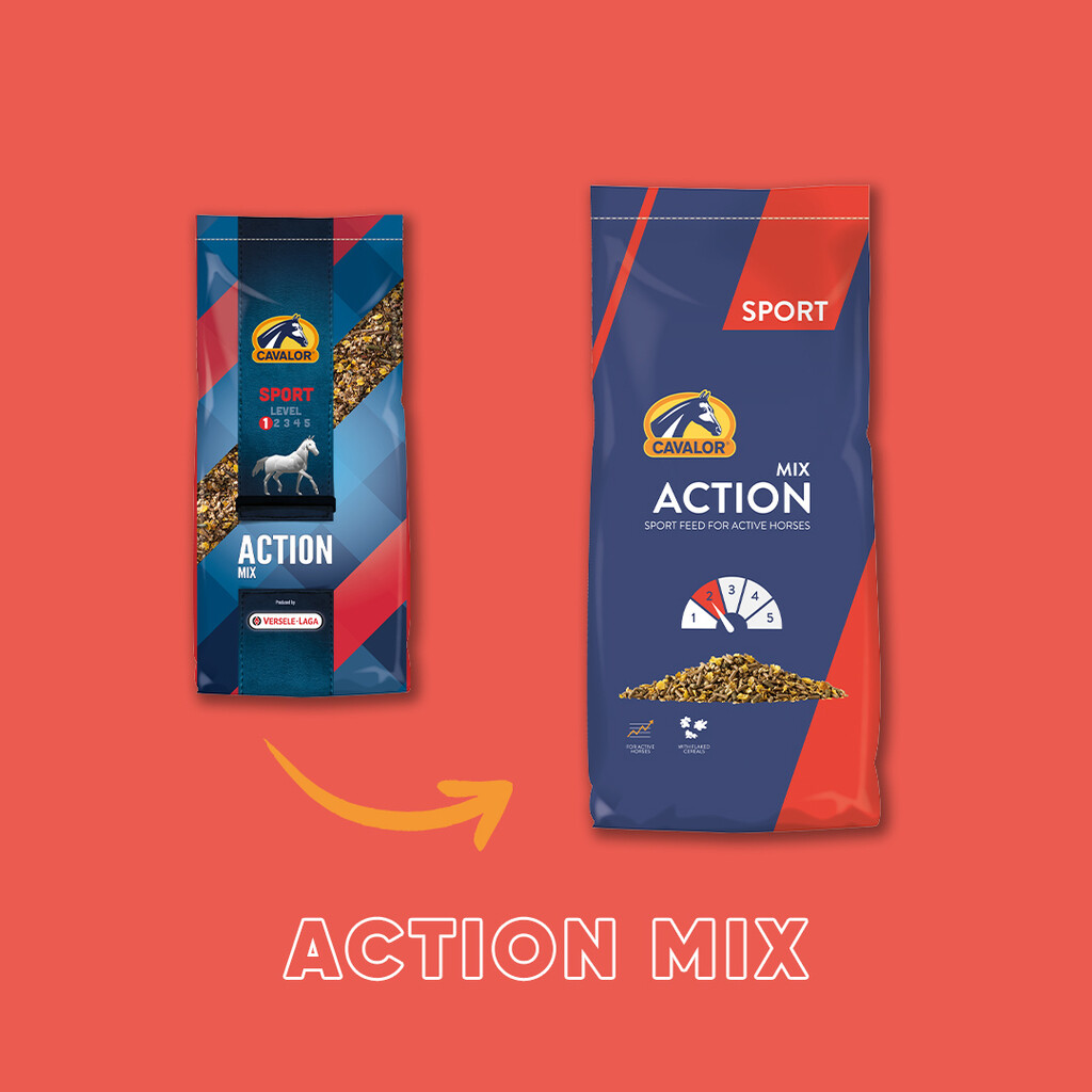 Muesli sport Action Mix 20 kg