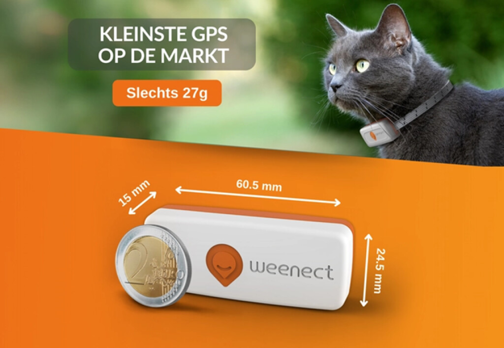 Traceur GPS Chat Blanc Traceur GPS Chat Blanc