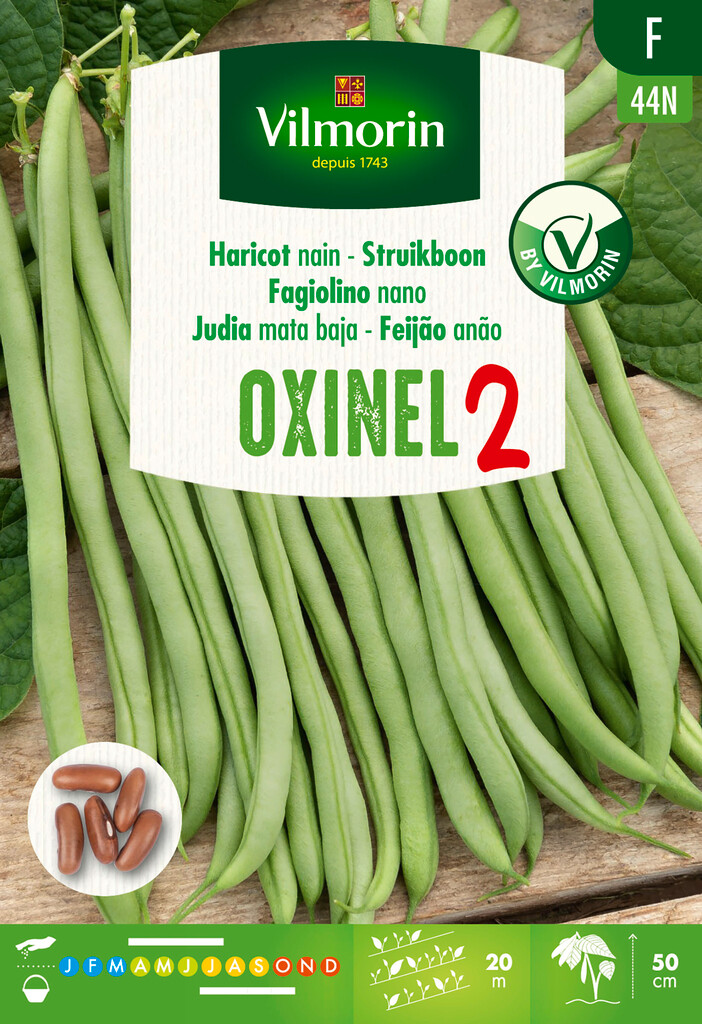 Semences de haricot nain Oxinel 2 110g Semences de haricot nain Oxinel 2 110g