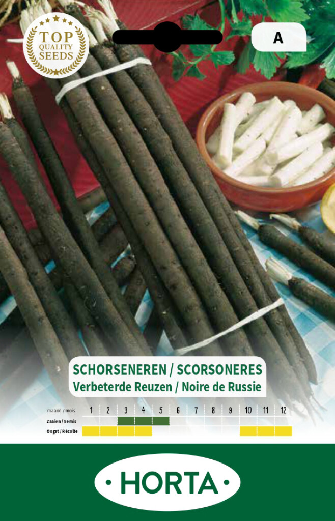 Scorsonère Noire de Russie