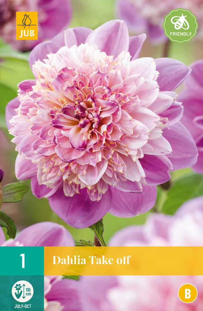 X1 Dahlia Take Off
