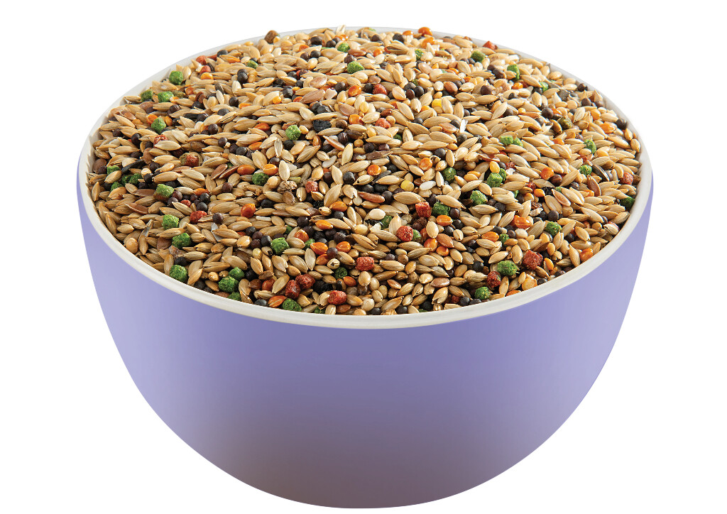 Inlandse Vogels  800g