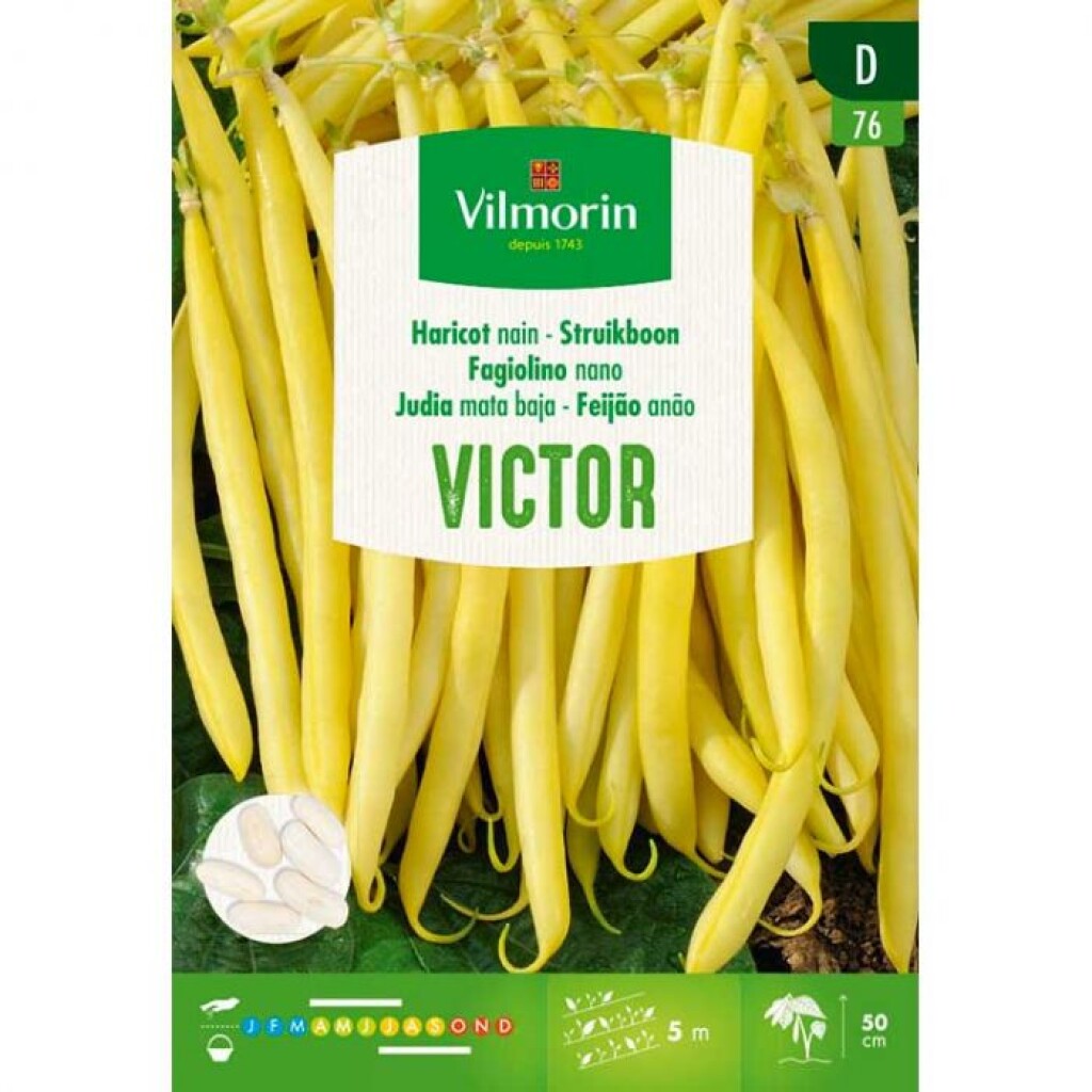 Haricot Beurre Victor 35g Haricot Beurre Victor 35g