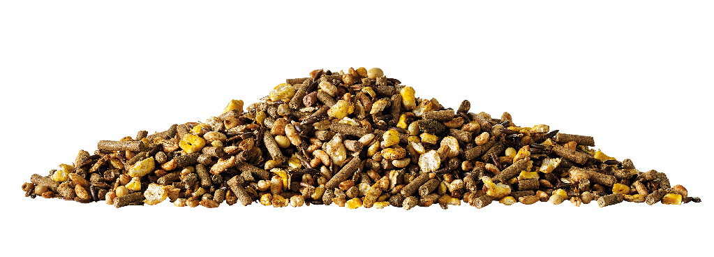 Muesli Breeding Juniorix 20 kg