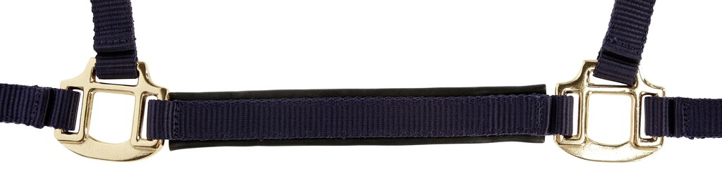 Licol poulain TopLine bleu