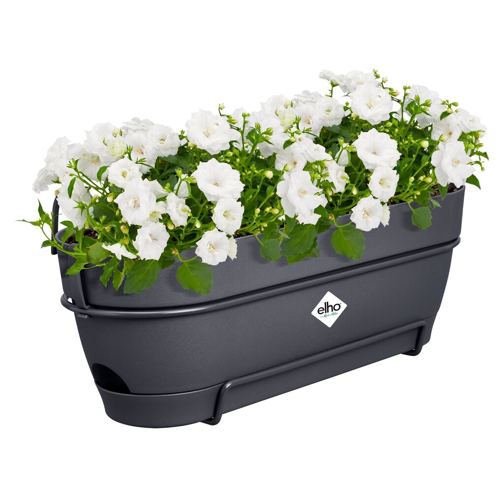 Vibia Campana Balkonbak Allin1 50cm antraciet