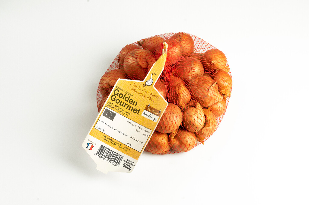 Sjalot Golden Gourmet 7/15 500g