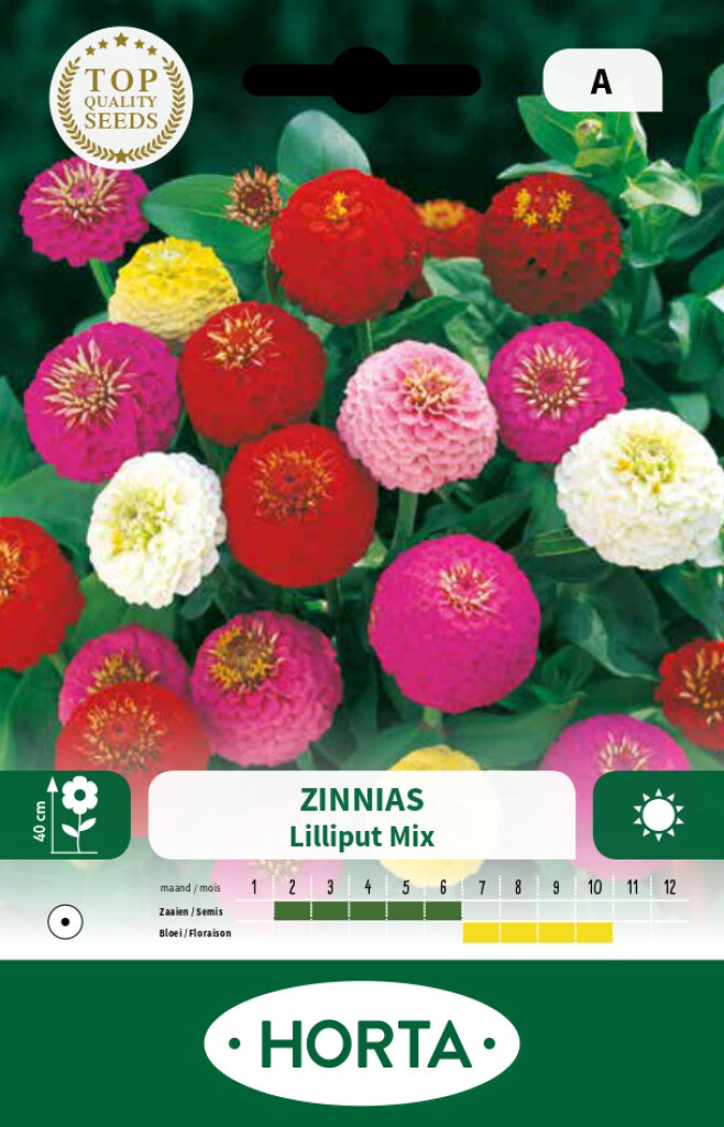 Zinnia lage Lilliput gemengd