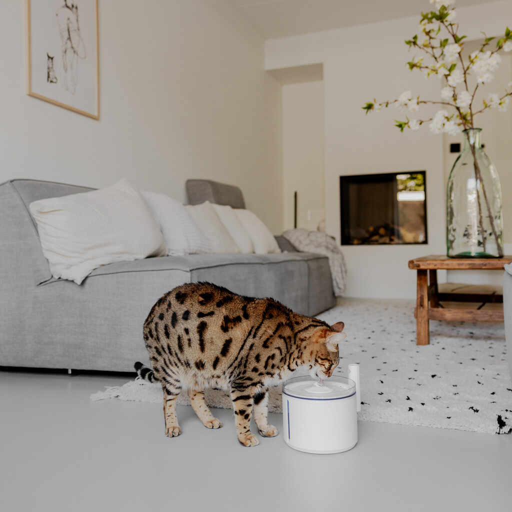 FLOW - Draadloze drinkfontein - Wit - Superstil - Met bewegingssensor - 2,2 liter inhoud