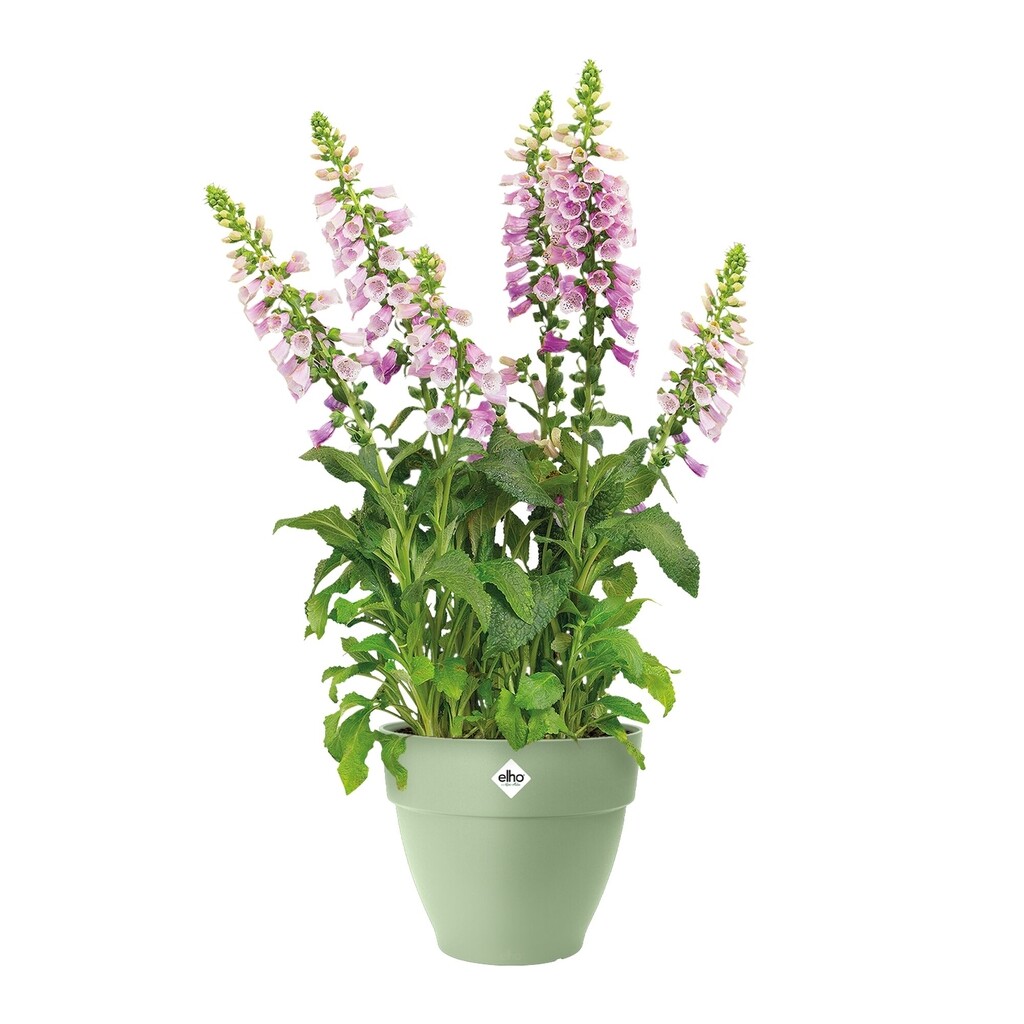 Vibia Campana Rond 20cm vert pistache