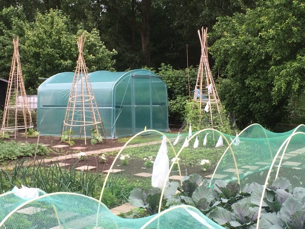 Splendid tunnel en film 3,00x3,00m