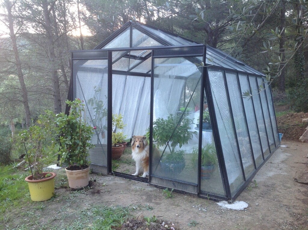 Serre Prestige S106 Blackline Serre Prestige S106 Blackline