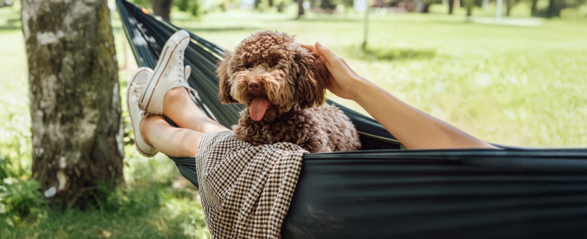 Horta Beestenkriebels