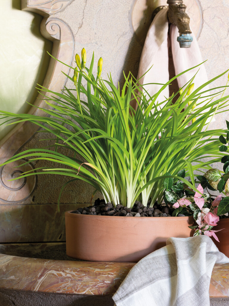 Soucoupe modul'o white