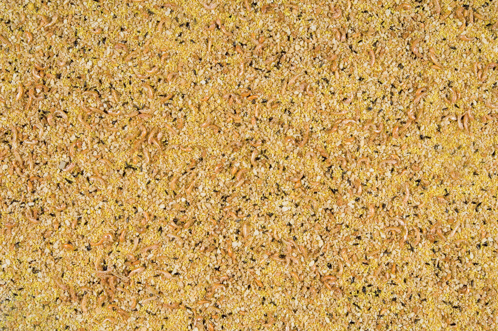 Eivoer droog tropische vogels 1kg Eivoer droog tropische vogels 1kg