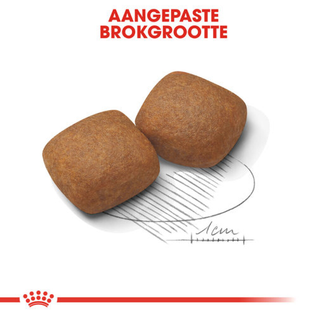 SHN Junior Giant 15kg