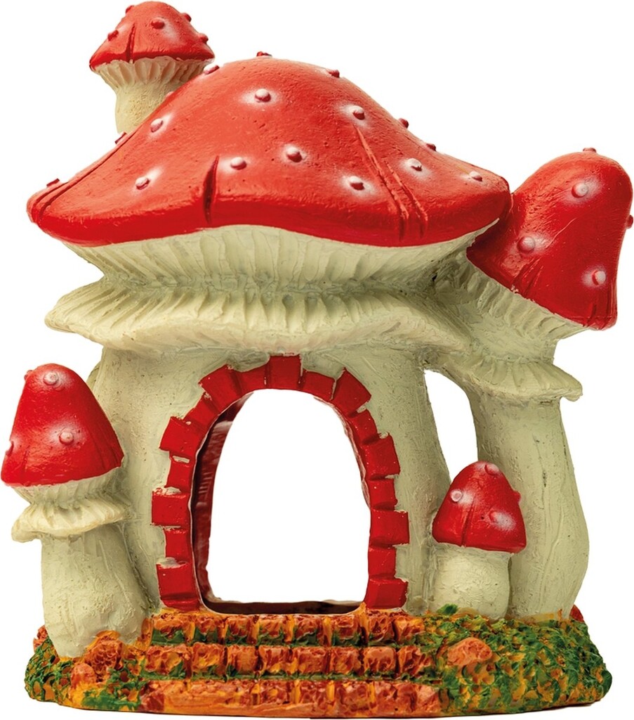 Mushroom House S