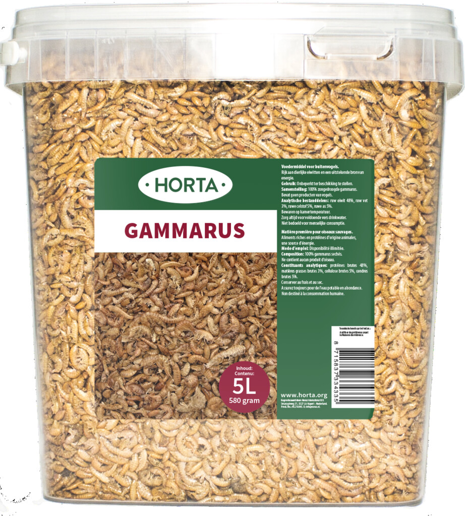 Gammarus 5L