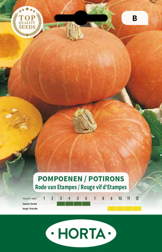 Pompoen rode van Etampes