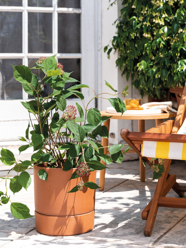 Soucoupe modul'o cotto