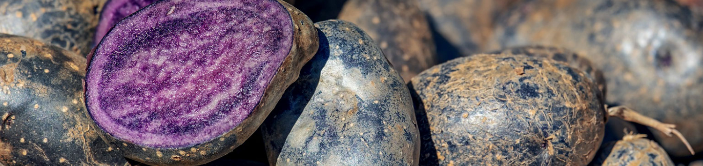 Pommes de terre Perupas