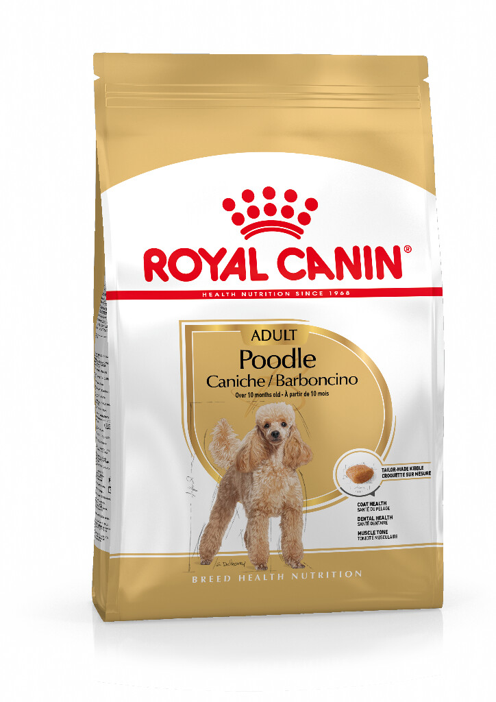 BHN Poodle 1,5kg