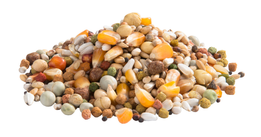 Champion 20kg Champion 20kg