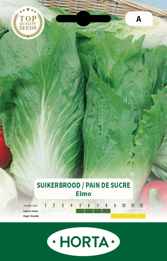 Andijvie Suikerbrood Elmo