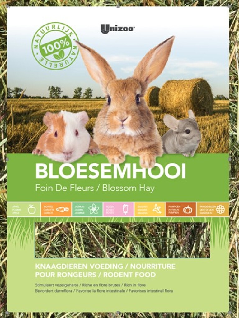 Bloesemhooi paardenbloem