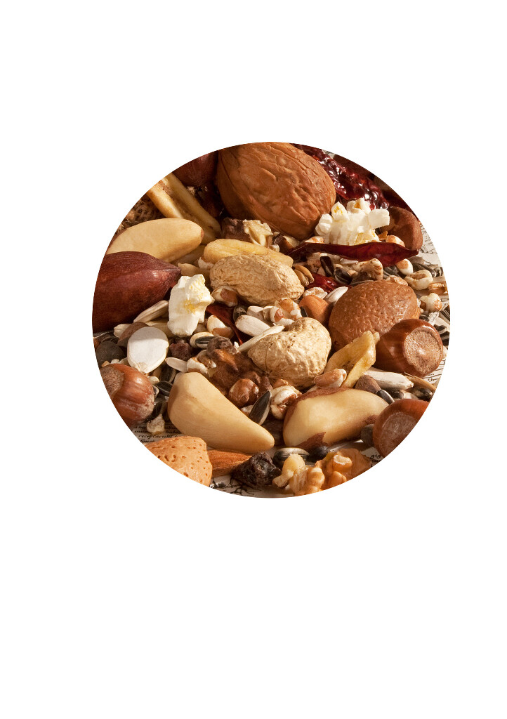 Mélange de graines pour Perroquet Exotic Nuts Versele Laga Sac 750 g