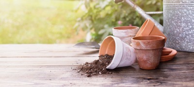 Elke plant heeft haar voorkeur: de verschillende soorten potgrond Elke plant heeft haar voorkeur: de verschillende soorten potgrond
